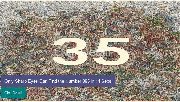 Only Sharp Eyes Can Find the Number 385 in 14 Secs