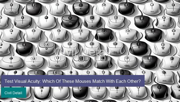 Test Visual Acuity: Which Of These Mouses Match With Each Other?