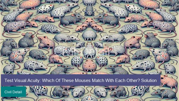 Test Visual Acuity: Which Of These Mouses Match With Each Other? Solution