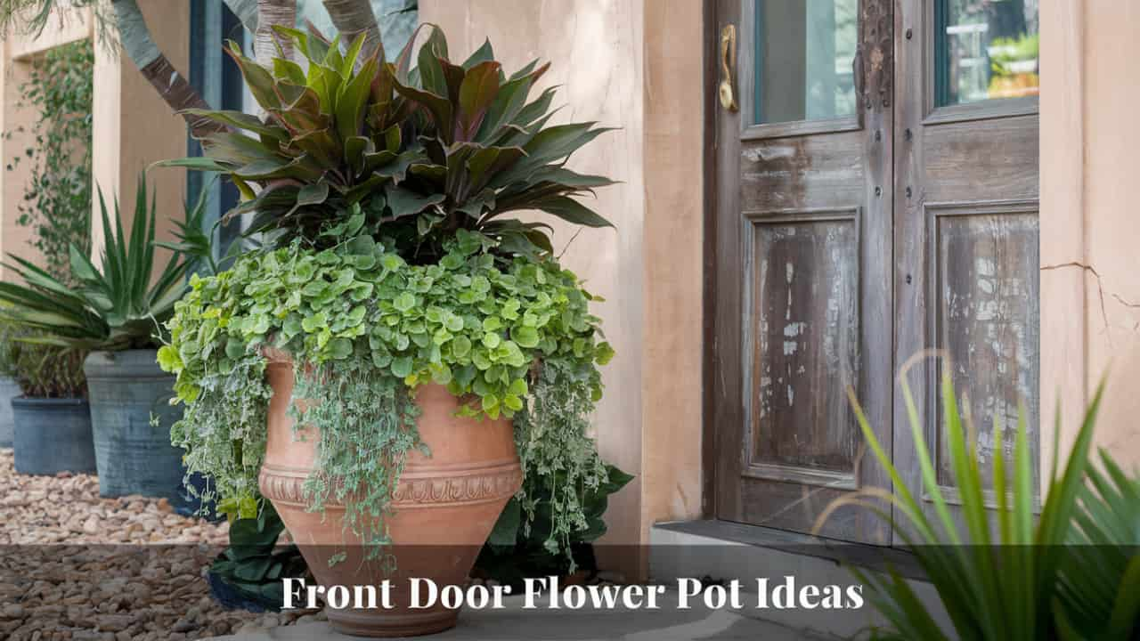 Front Door Flower Pot Ideas (1)