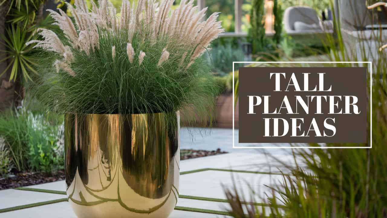 Tall Planter Ideas